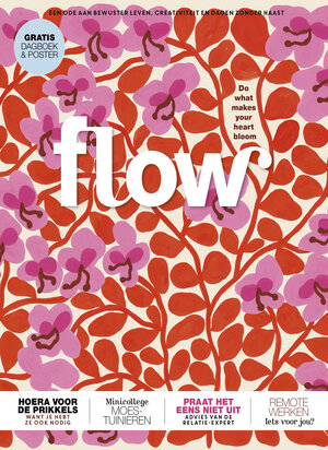Flow Magazine Cadeau